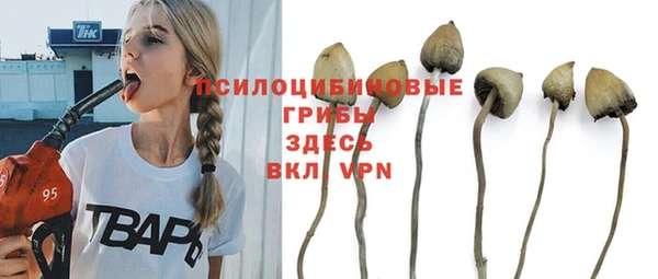 ПСИЛОЦИБИНОВЫЕ ГРИБЫ Армянск