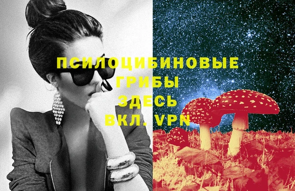 ПСИЛОЦИБИНОВЫЕ ГРИБЫ Армянск
