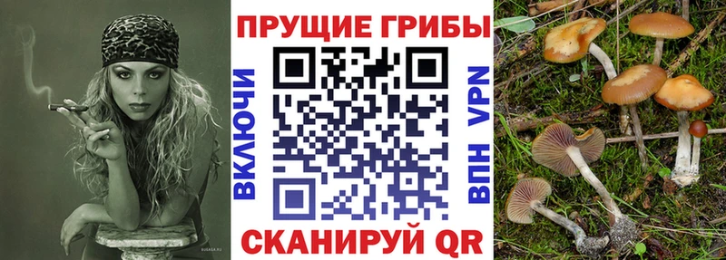 Галлюциногенные грибы мухоморы  Армянск 